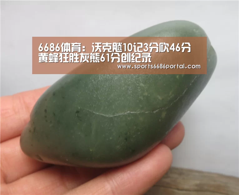 6686体育:沃克飚10记3分砍46分 黄蜂狂胜灰熊61分创纪录(图2) 6686体育