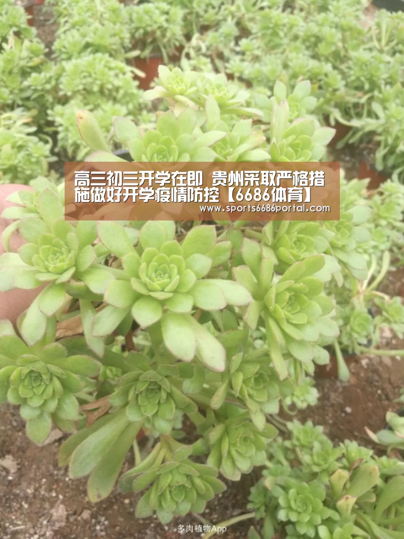 高三初三开学在即 贵州采取严格措施做好开学疫情防控【6686体育】(图2) 6686体育官网